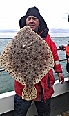 brill - turbot fishing no 9
